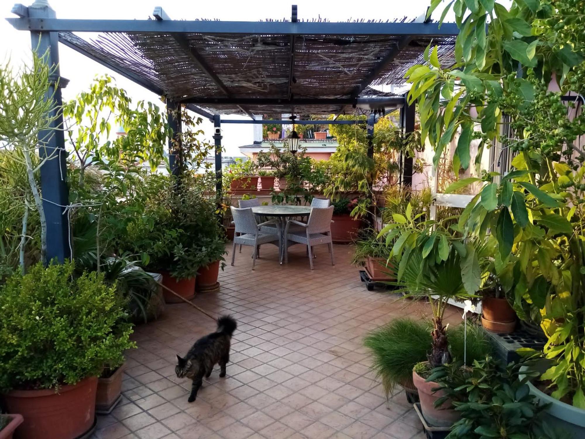 Il Nido Della Quaglia B&B - Jaba Mia House Lt 포츠올리 외부 사진